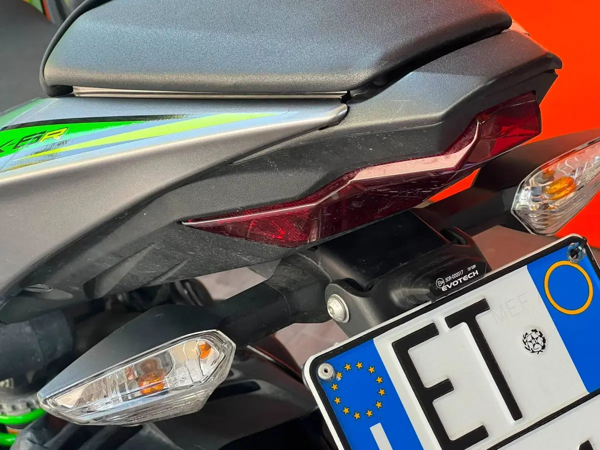 Kawasaki Ninja 636 ZX-6R KRT (2019 - 20) (15)
