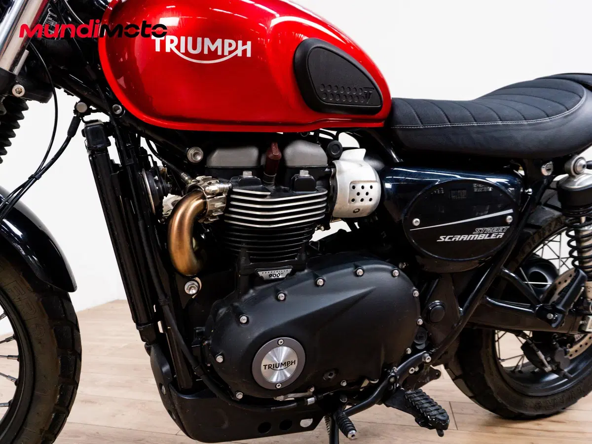 Triumph Street Scrambler 900 (2017 - 18) (7)
