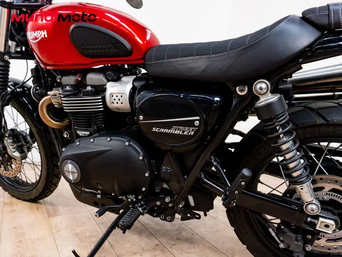 Triumph Street Scrambler 900 (2017 - 18) (8)