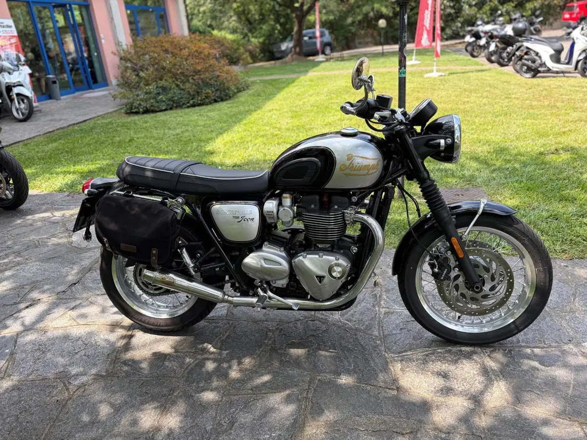 Triumph Bonneville T120 Icon Edition (2025 - 26) (3)