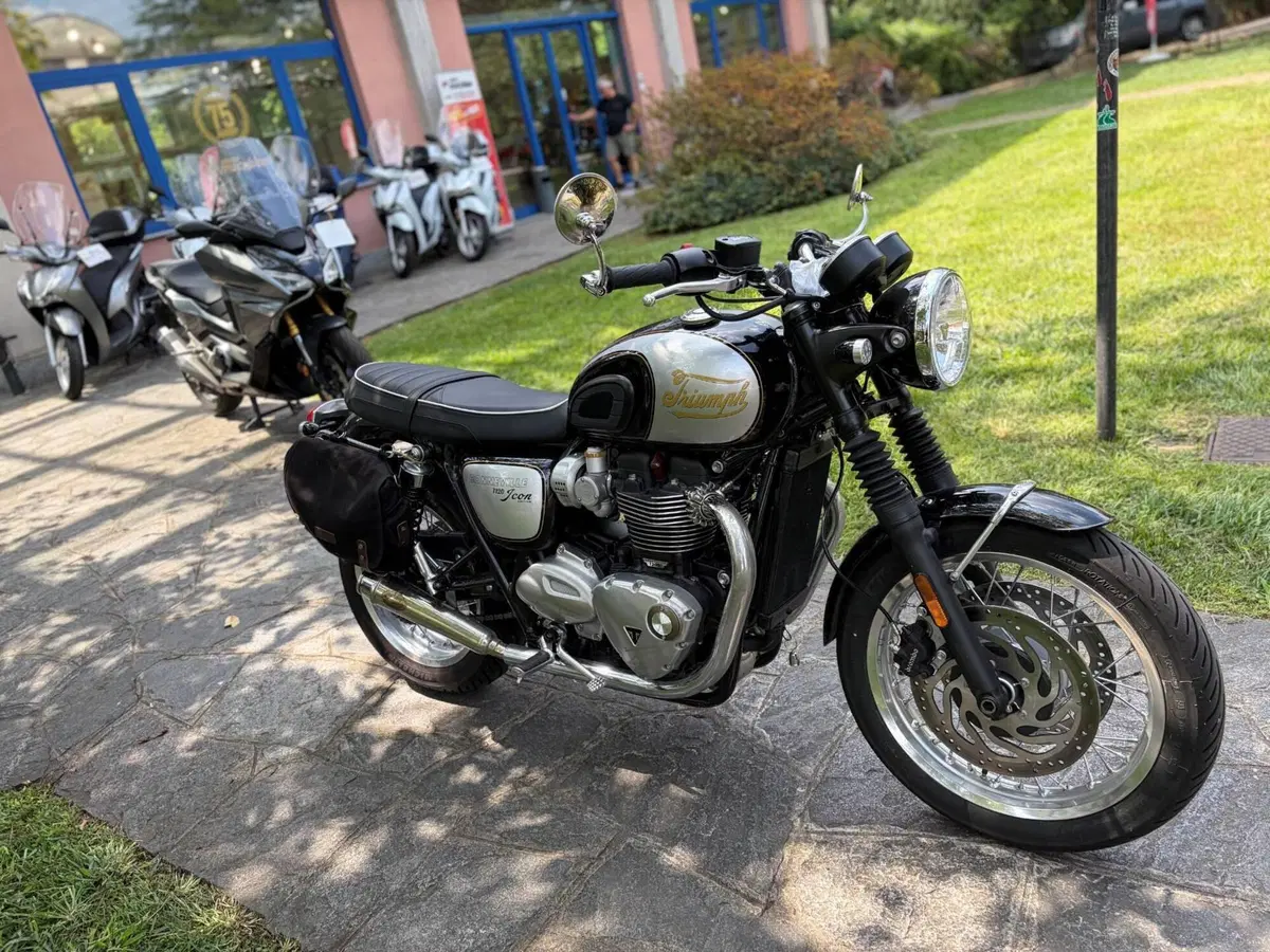 Triumph Bonneville T120 Icon Edition (2025 - 26) (4)