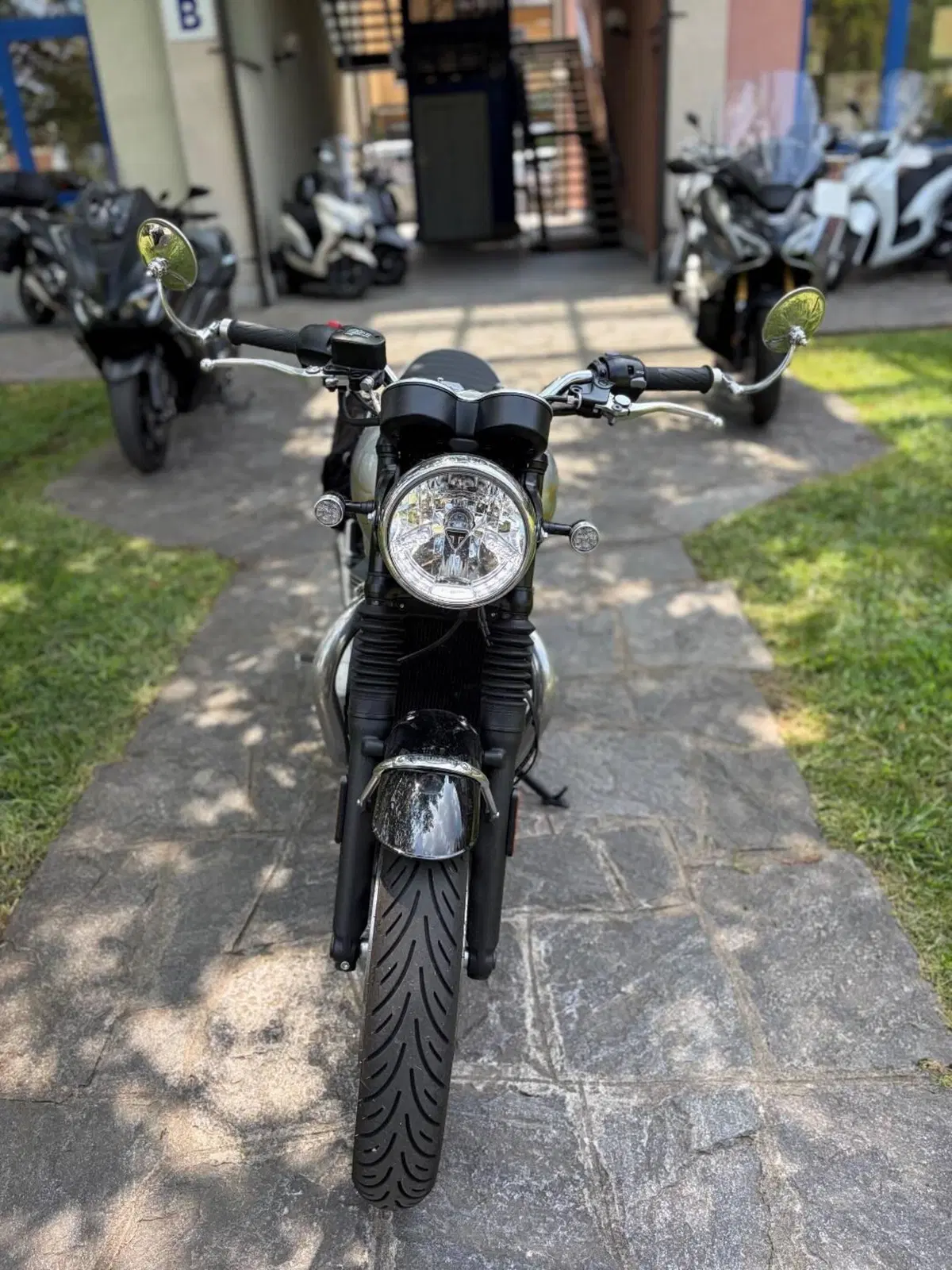 Triumph Bonneville T120 Icon Edition (2025 - 26) (5)
