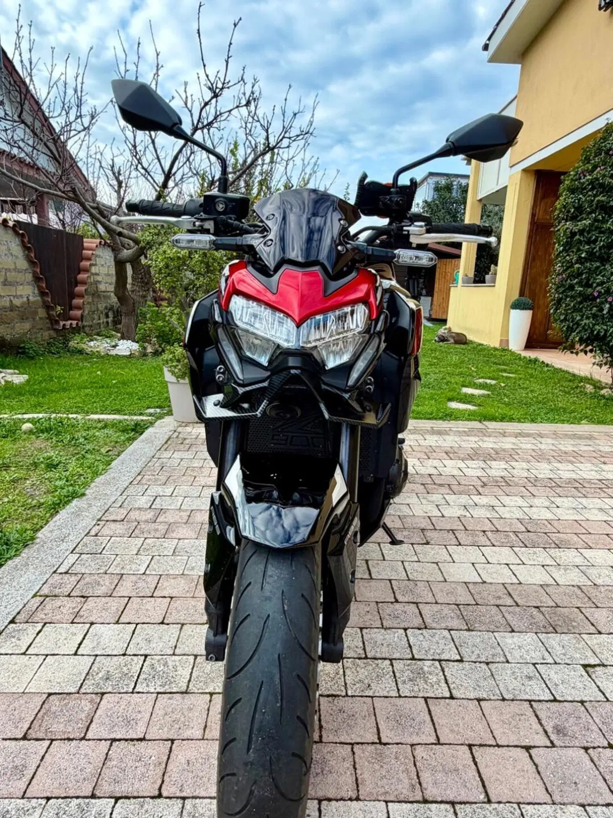 Kawasaki Z 900 (2021 - 24) (7)