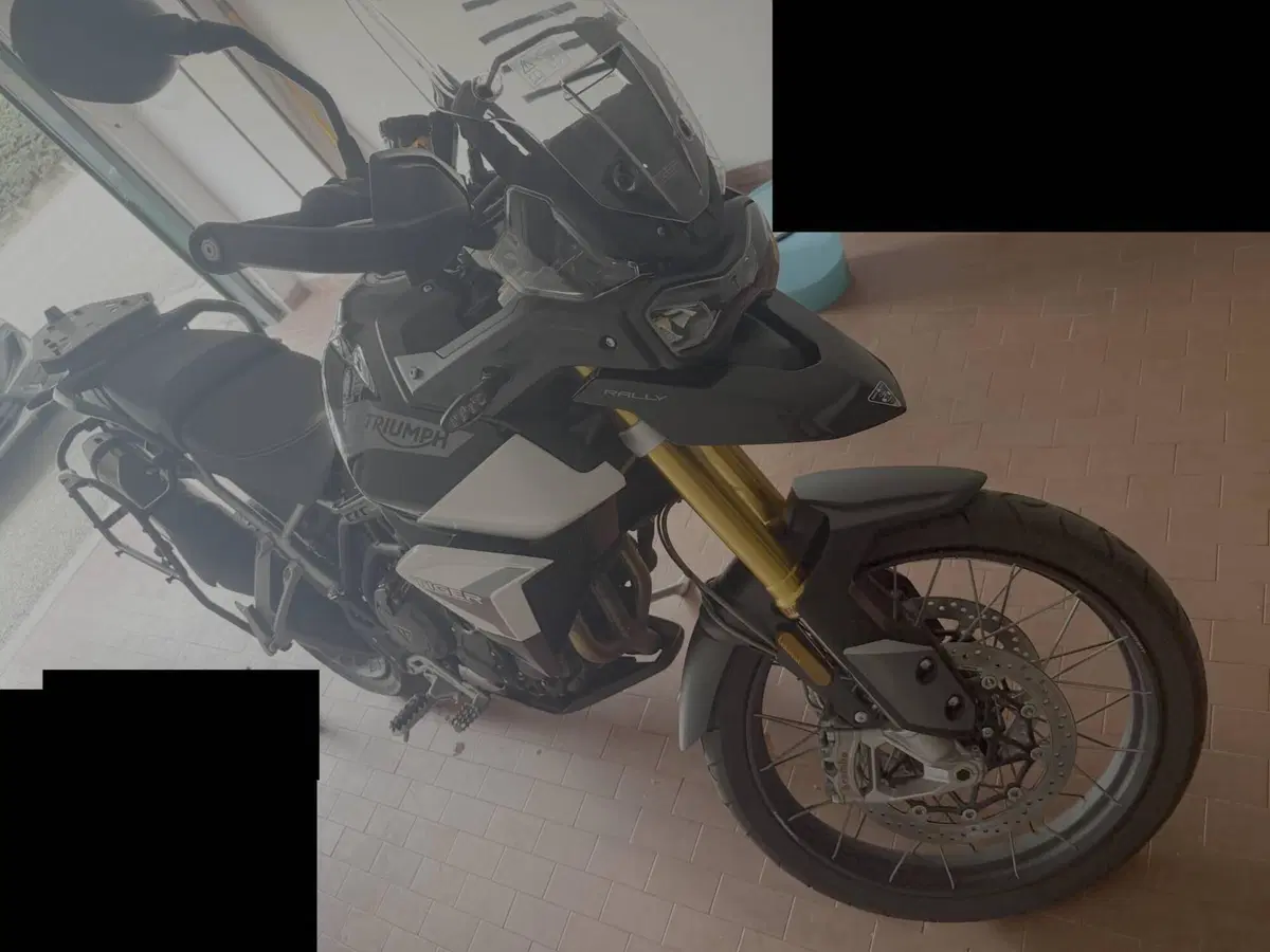 Triumph Tiger 900 Rally (2020 - 23) (2)