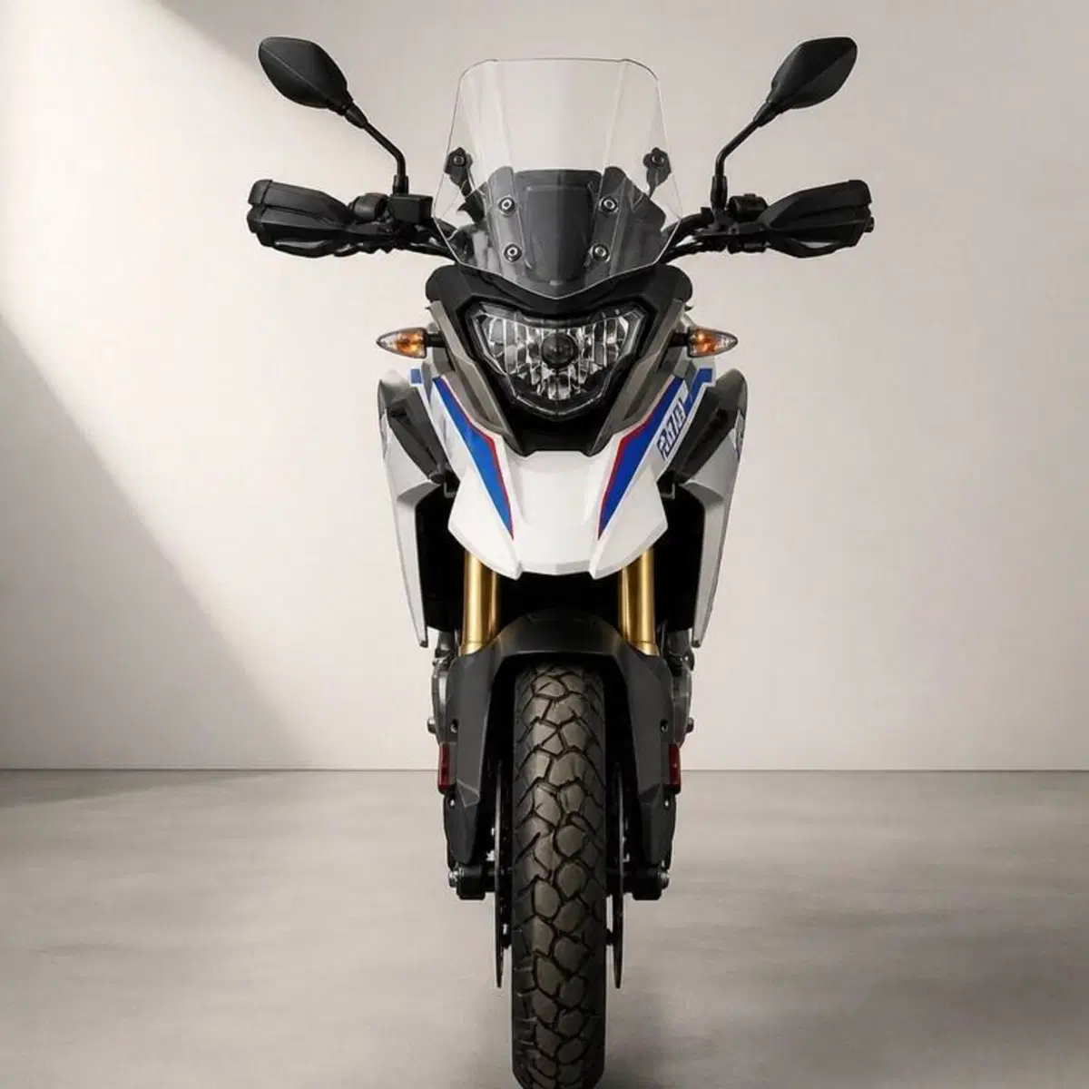 Bmw G 310 GS (2017 - 20) (2)
