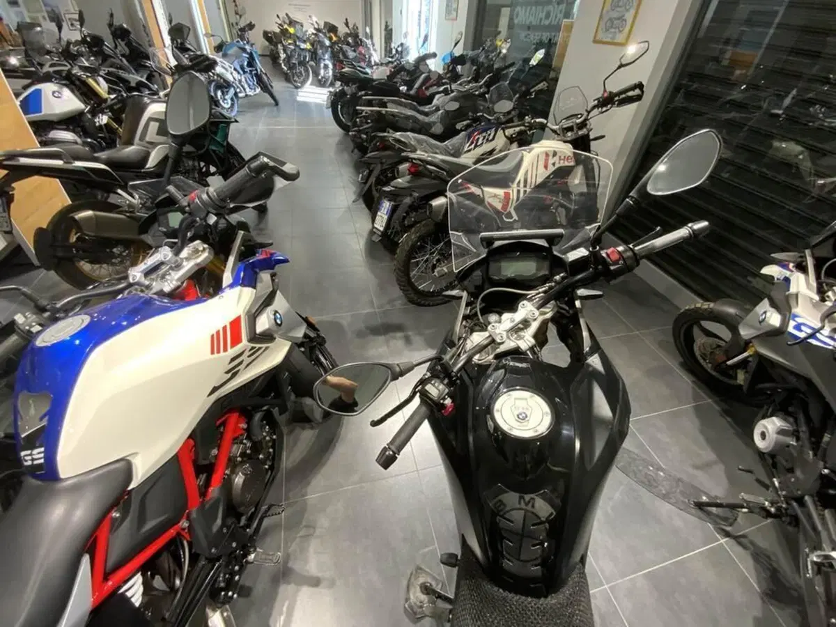 Bmw G 310 GS (2021 - 25) (6)
