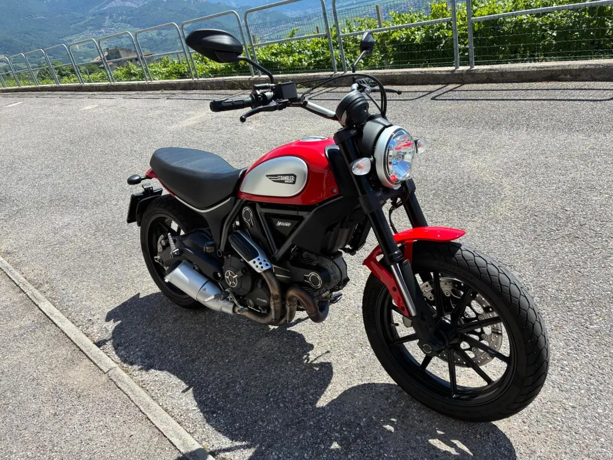 Ducati Scrambler 800 Icon (2015 - 16) (3)