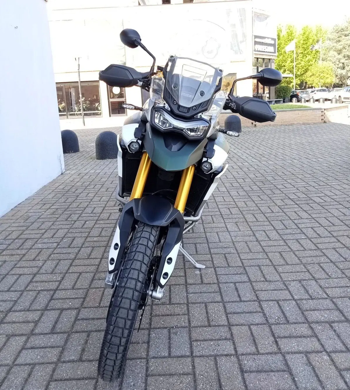 Triumph Tiger 900 Rally Pro (2020 - 23) (6)