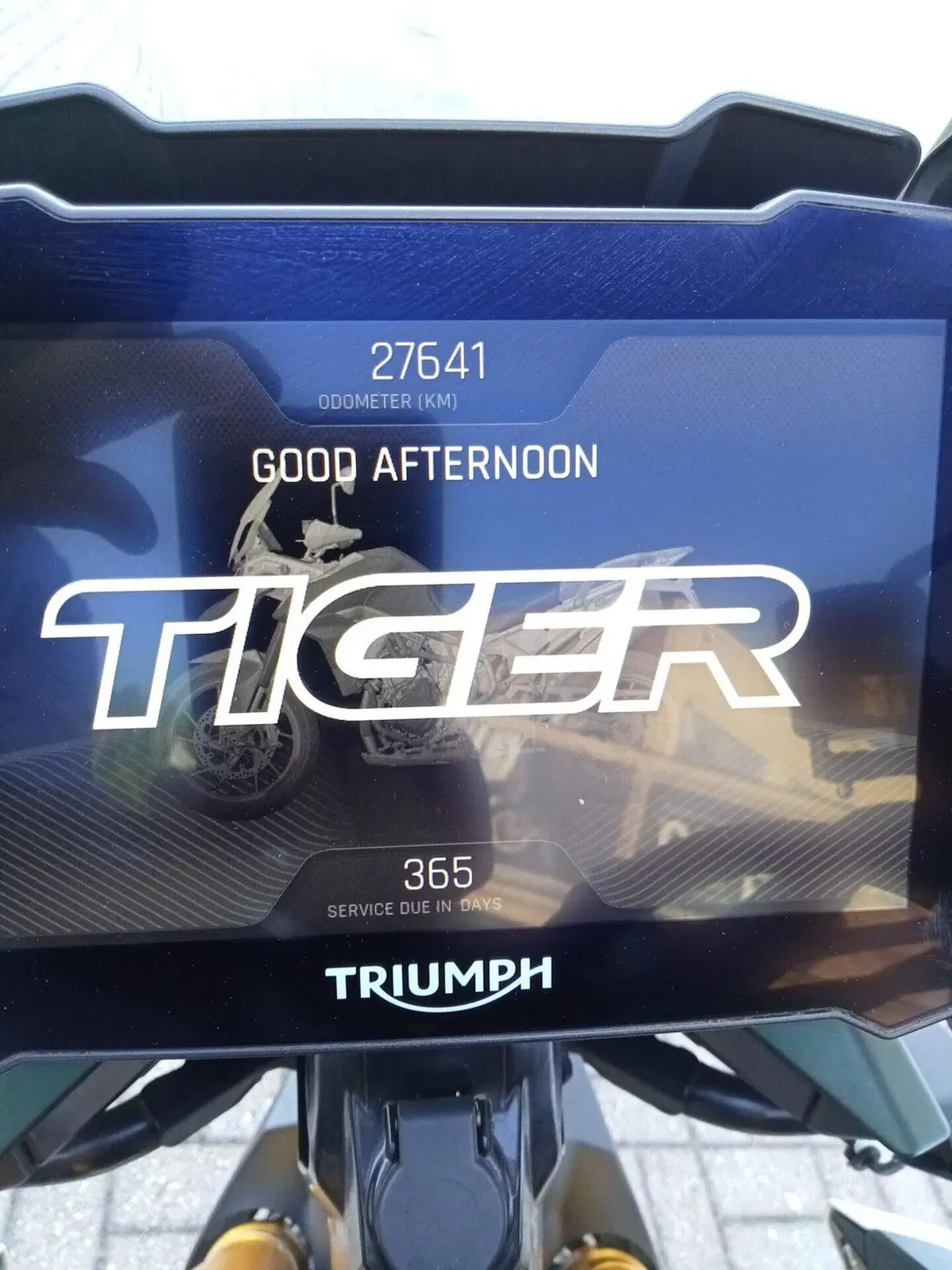 Triumph Tiger 900 Rally Pro (2020 - 23) (11)