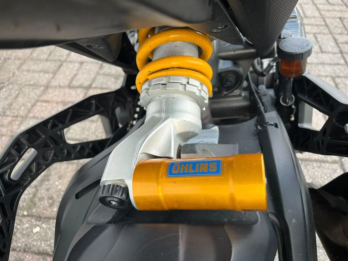 Ducati Monster 937 SP (2023 - 25) (9)