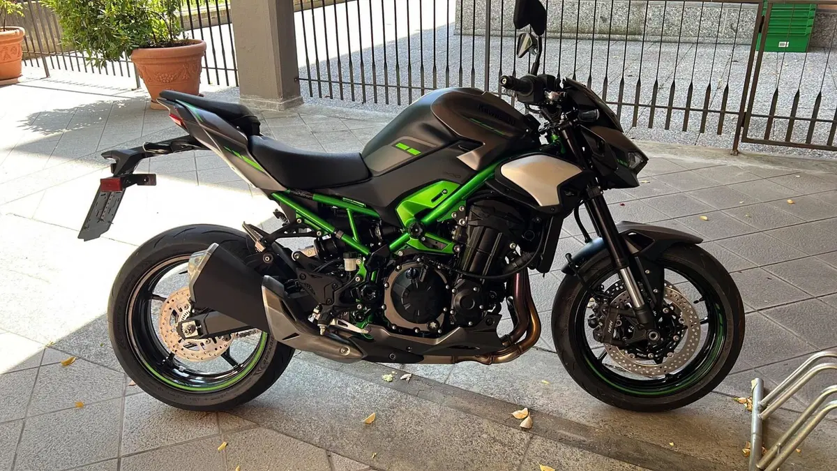 Kawasaki Z 900 (2025 - 26) (4)