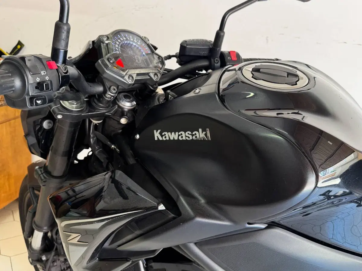 Kawasaki Z 900 Performance (2019) (7)