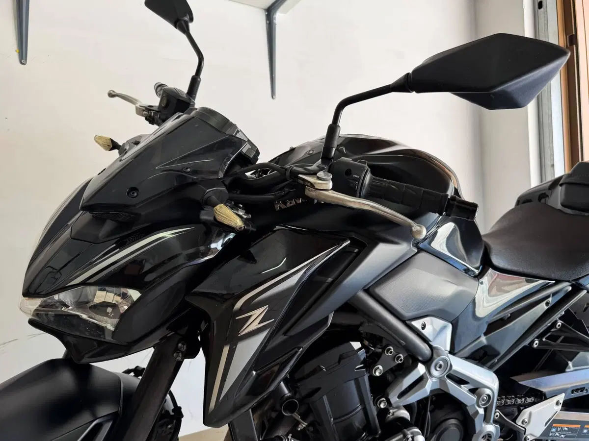 Kawasaki Z 900 Performance (2019) (11)