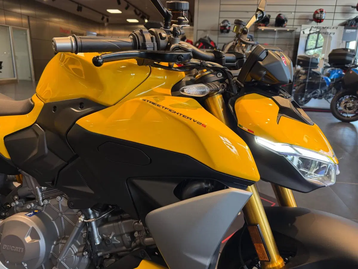 Ducati Streetfighter V2 S (2025 - 26) (19)