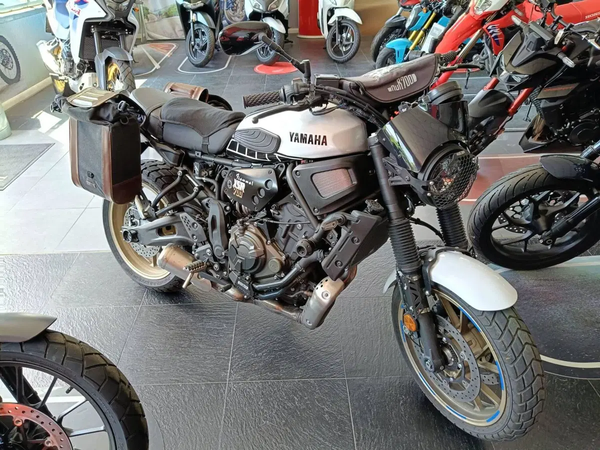 Yamaha XSR 700 Legacy (2023 - 26) (2)