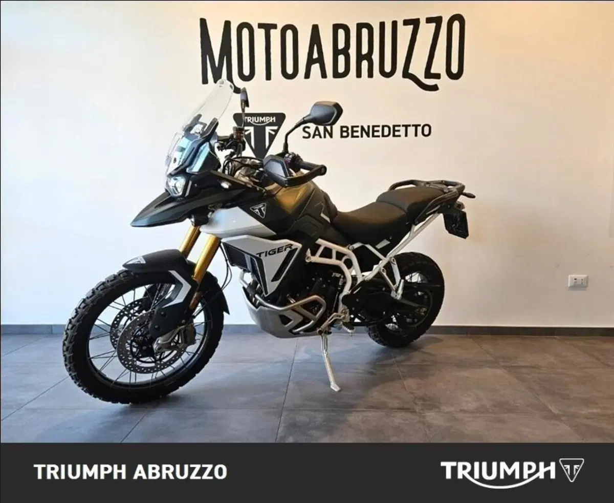Triumph Tiger 900 Rally Pro (2024 - 26) (3)