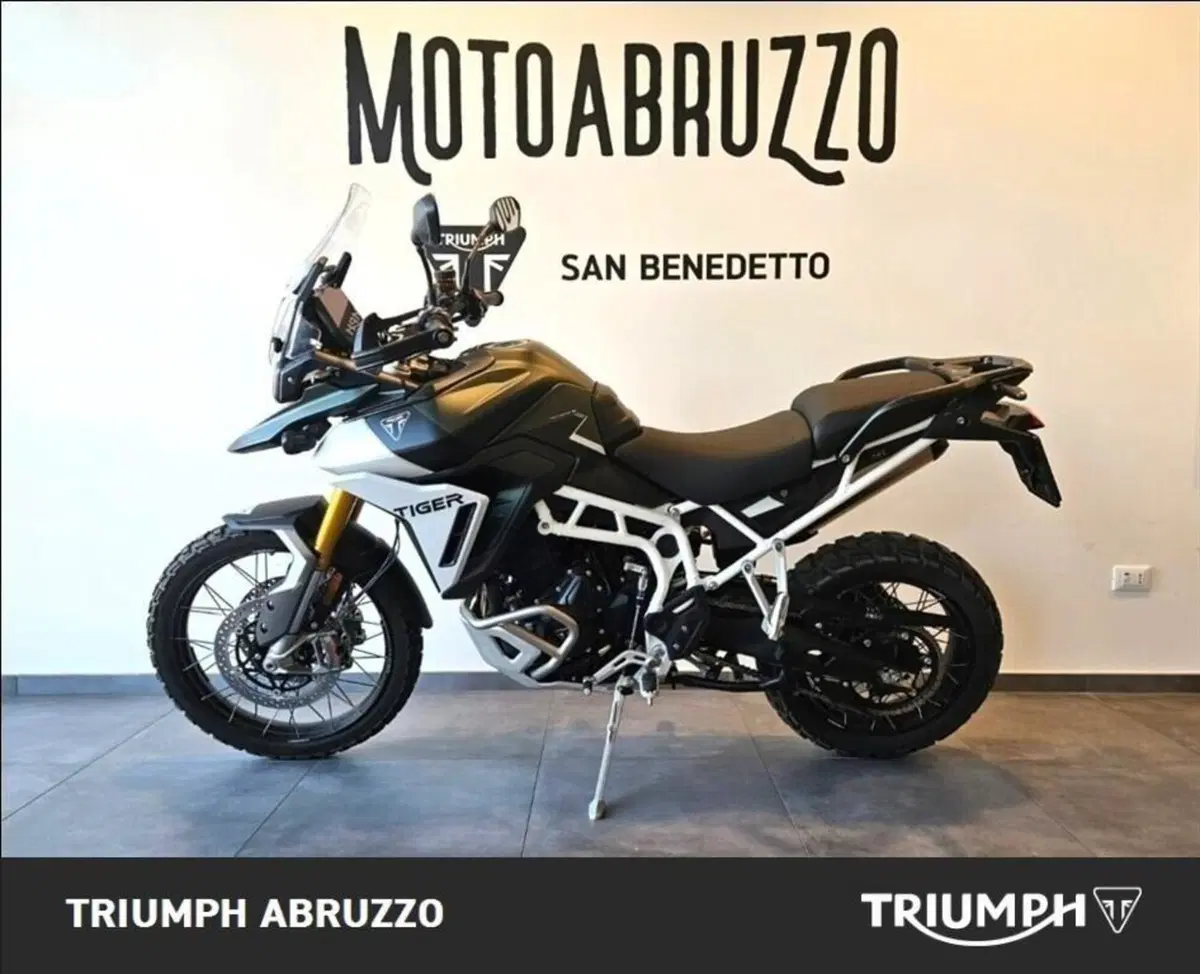 Triumph Tiger 900 Rally Pro (2024 - 26) (4)