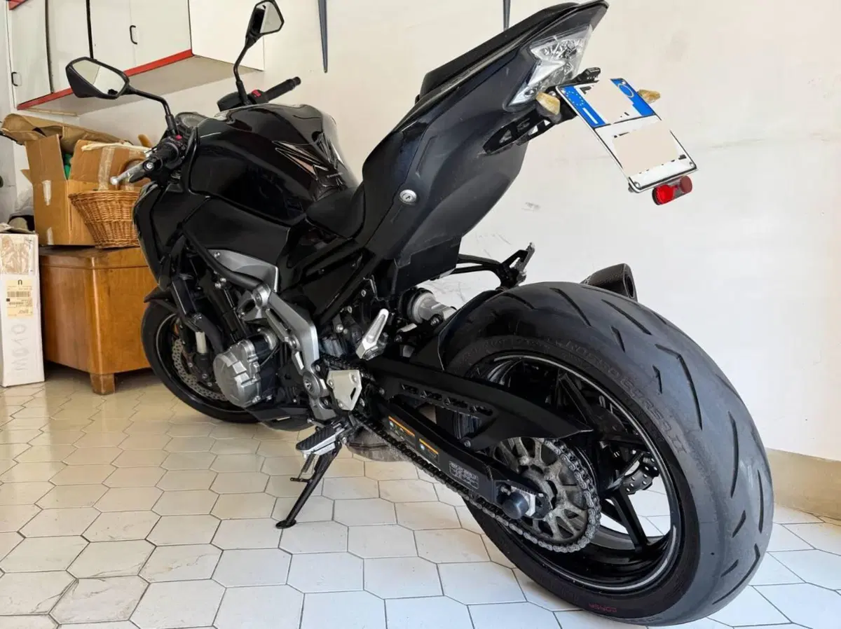 Kawasaki Z 900 Performance (2019) (18)