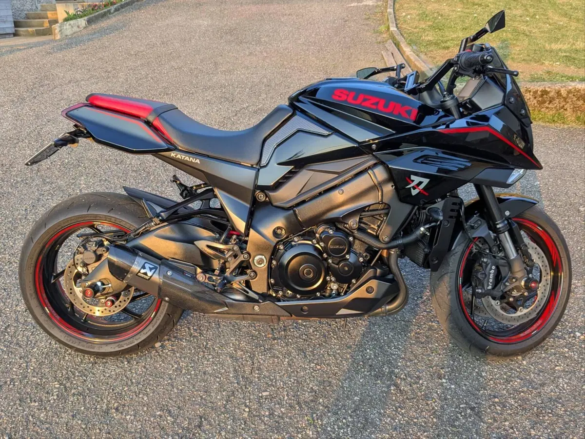 Suzuki Katana 1000 Jindachi (2019 - 20) (2)