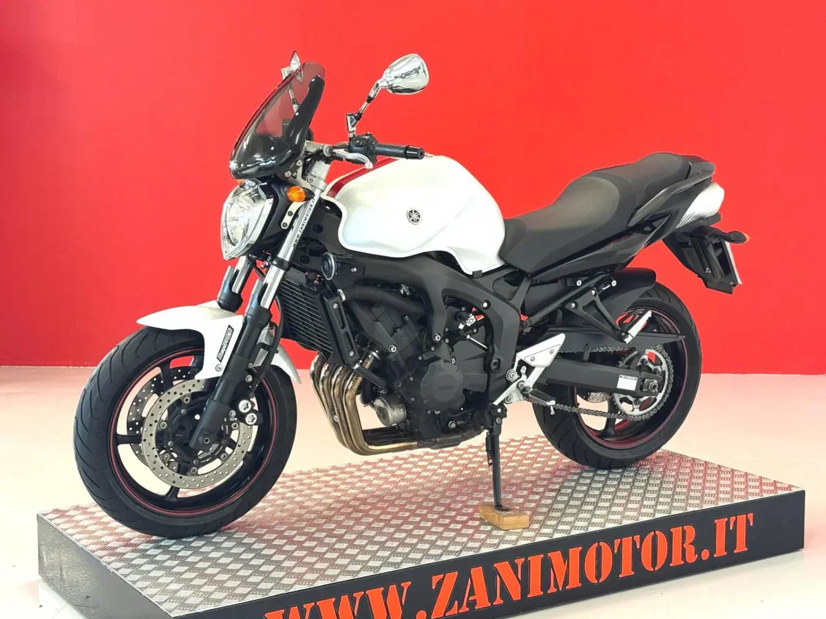 Yamaha FZ6 S2 (2007 - 11) (4)