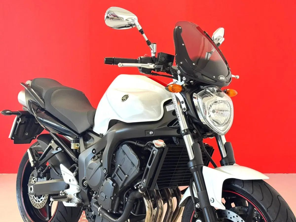 Yamaha FZ6 S2 (2007 - 11) (9)