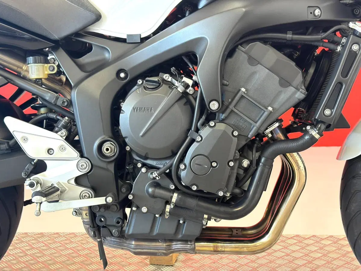 Yamaha FZ6 S2 (2007 - 11) (10)