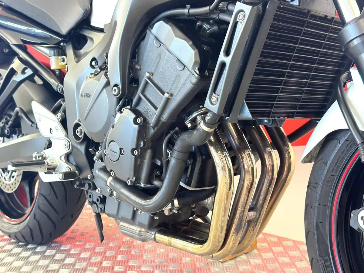 Yamaha FZ6 S2 (2007 - 11) (11)