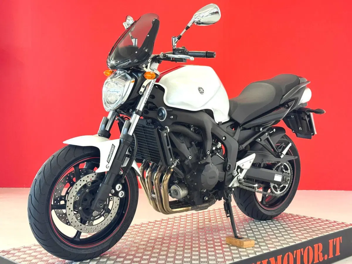 Yamaha FZ6 S2 (2007 - 11) (13)