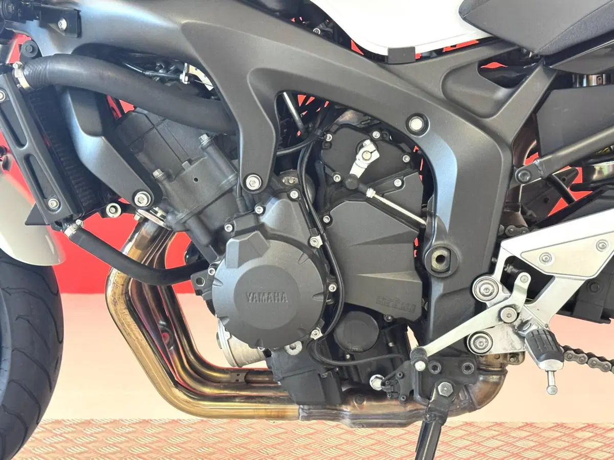 Yamaha FZ6 S2 (2007 - 11) (14)