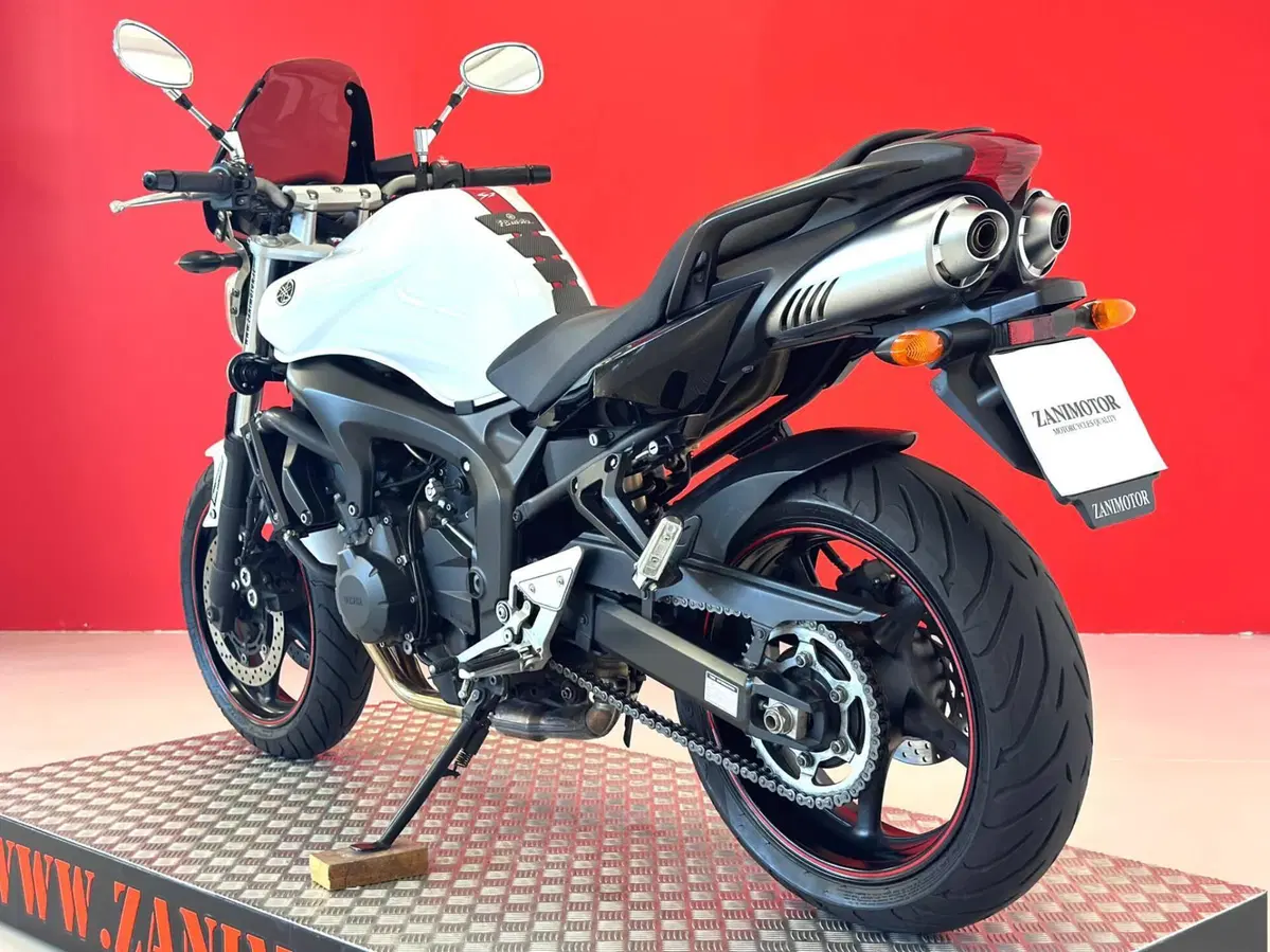Yamaha FZ6 S2 (2007 - 11) (15)