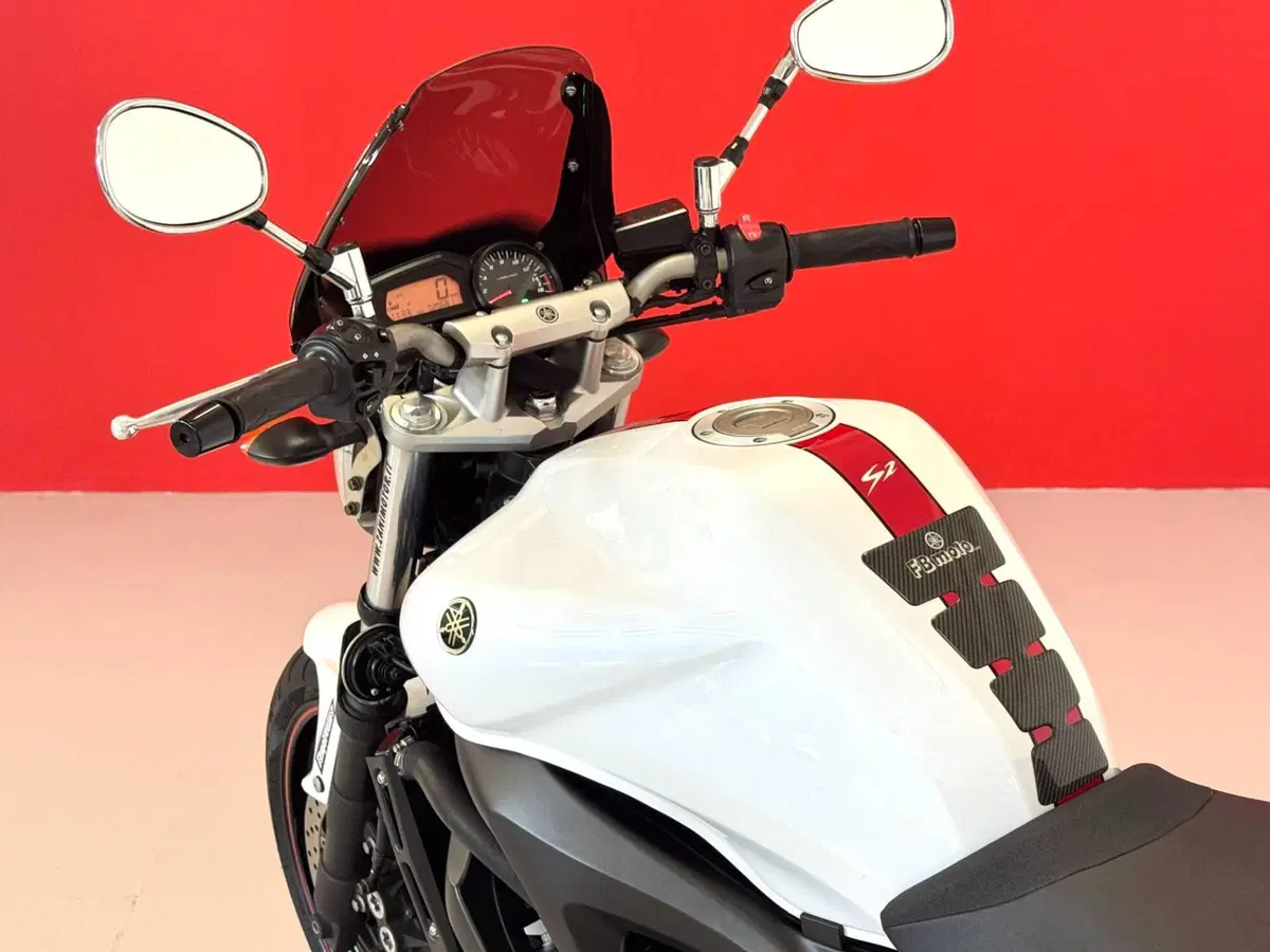 Yamaha FZ6 S2 (2007 - 11) (16)