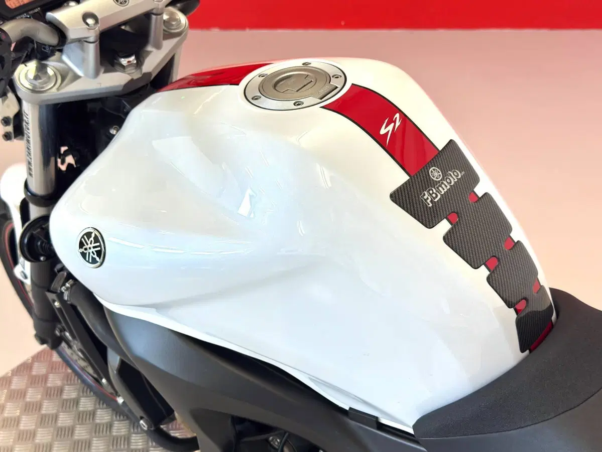 Yamaha FZ6 S2 (2007 - 11) (18)