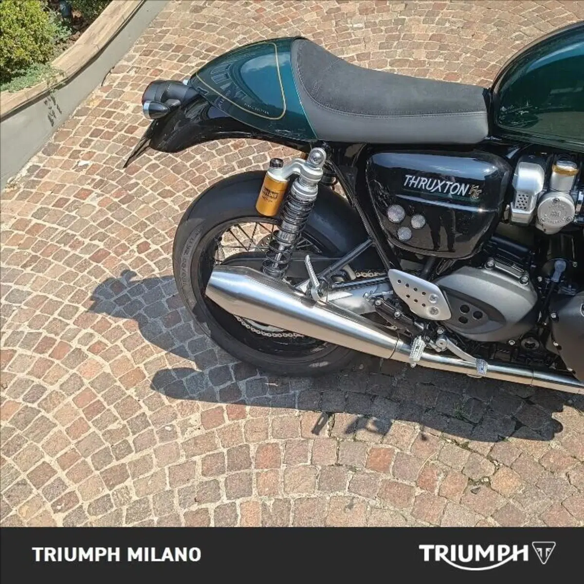 Triumph Thruxton RS Final Edition (2024 - 25) (2)
