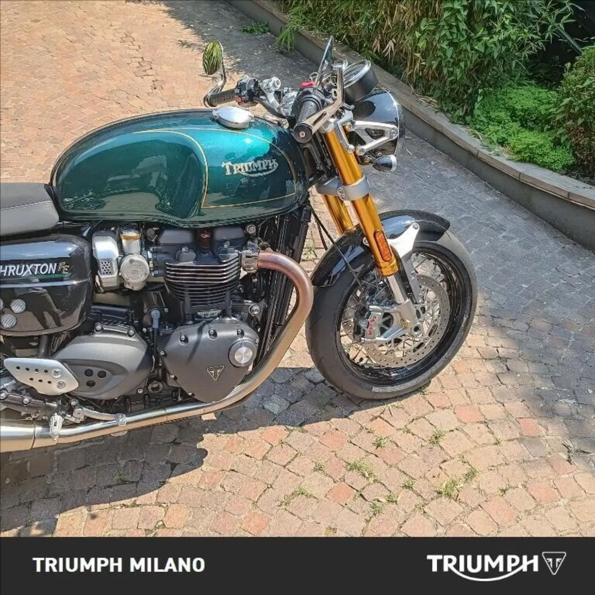 Triumph Thruxton RS Final Edition (2024 - 25) (4)