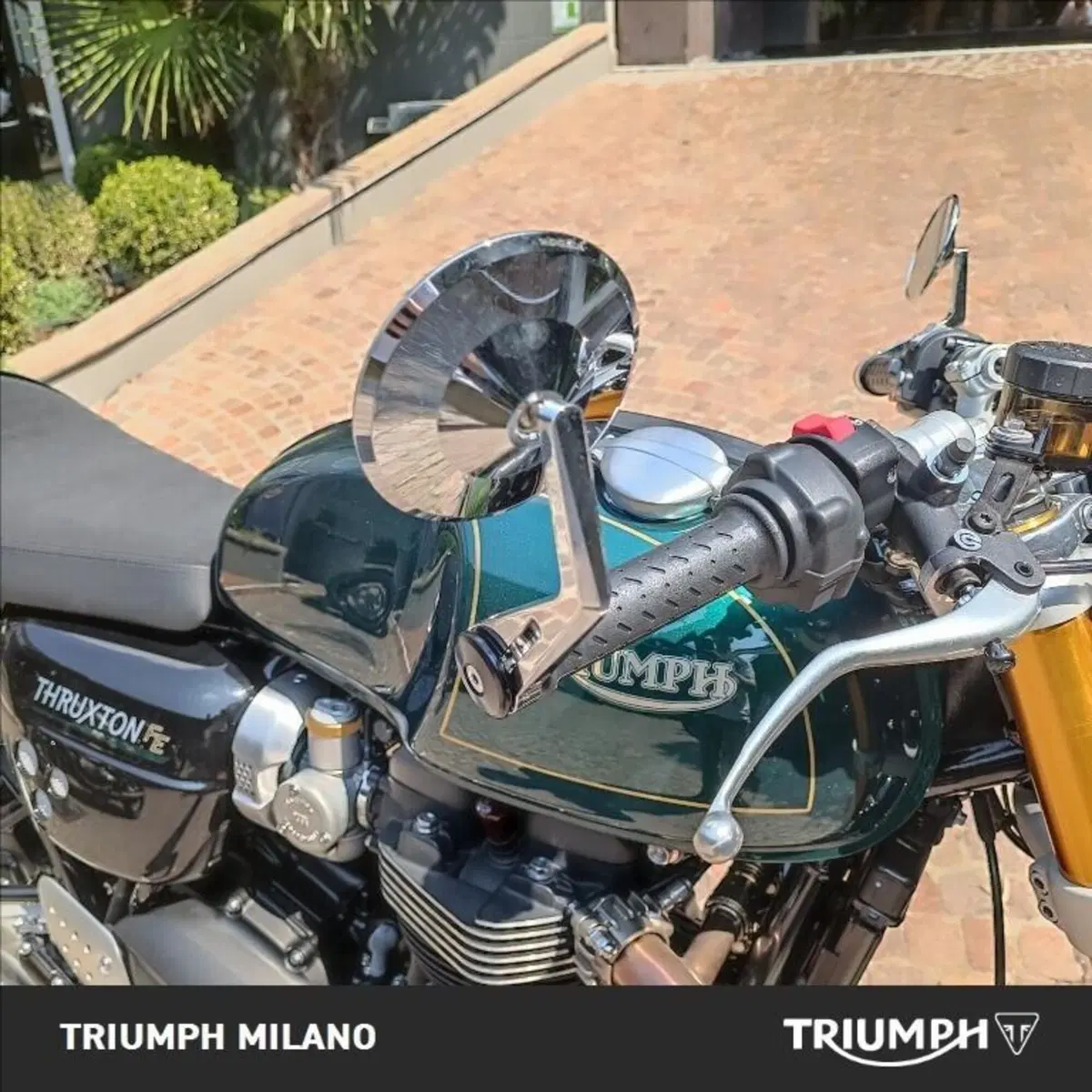 Triumph Thruxton RS Final Edition (2024 - 25) (5)