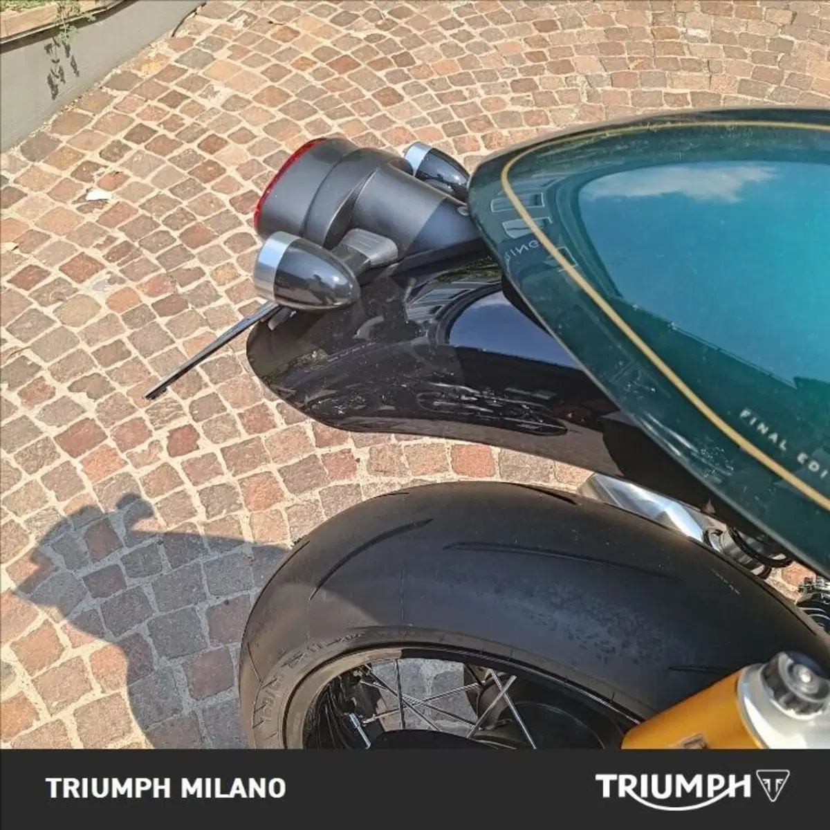 Triumph Thruxton RS Final Edition (2024 - 25) (3)