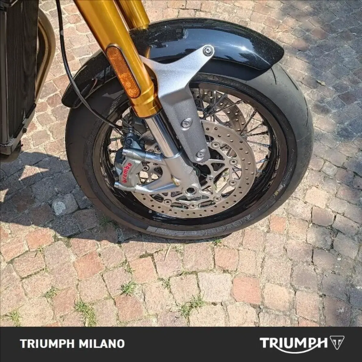 Triumph Thruxton RS Final Edition (2024 - 25) (6)