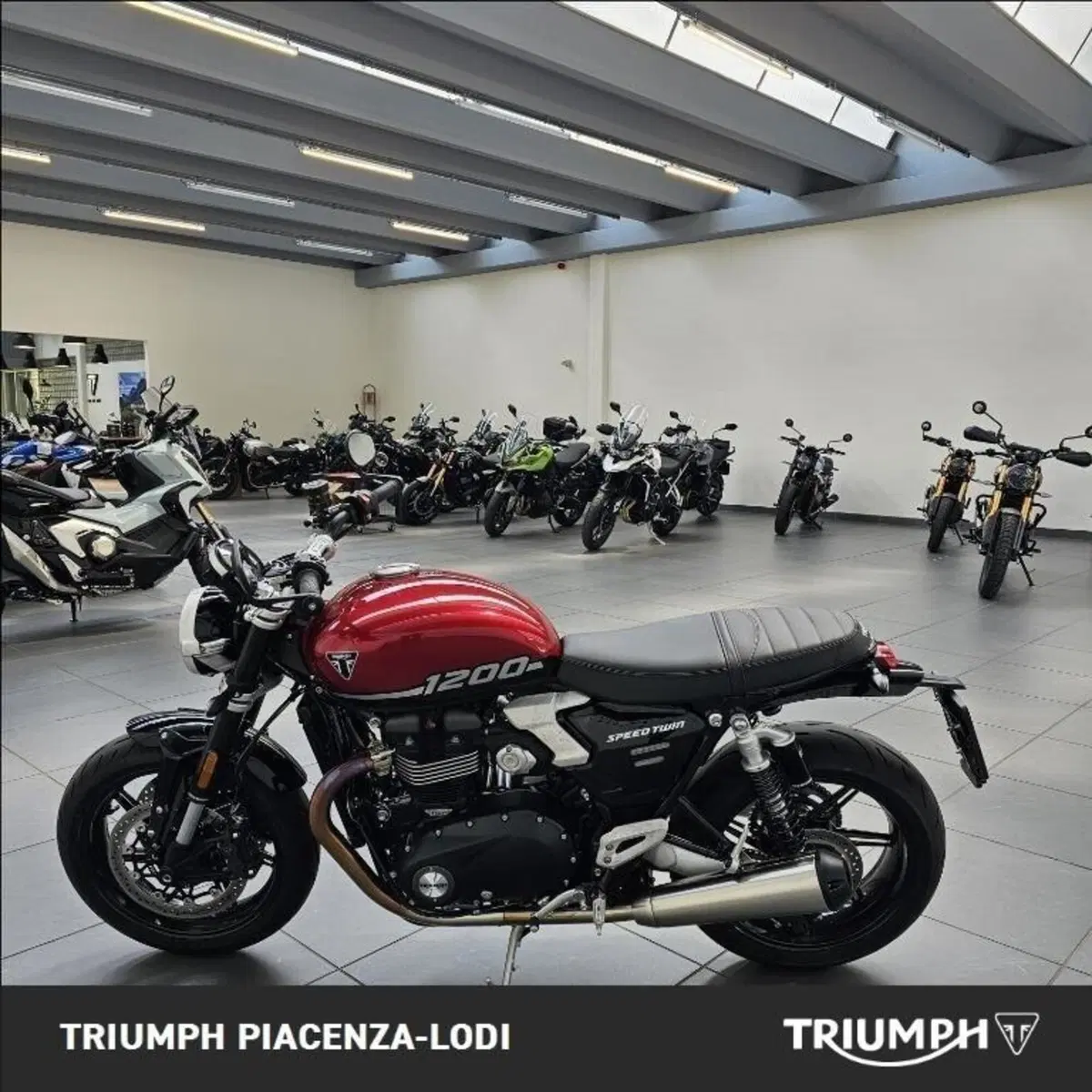 Triumph Speed Twin 1200 (2025 - 26) (5)