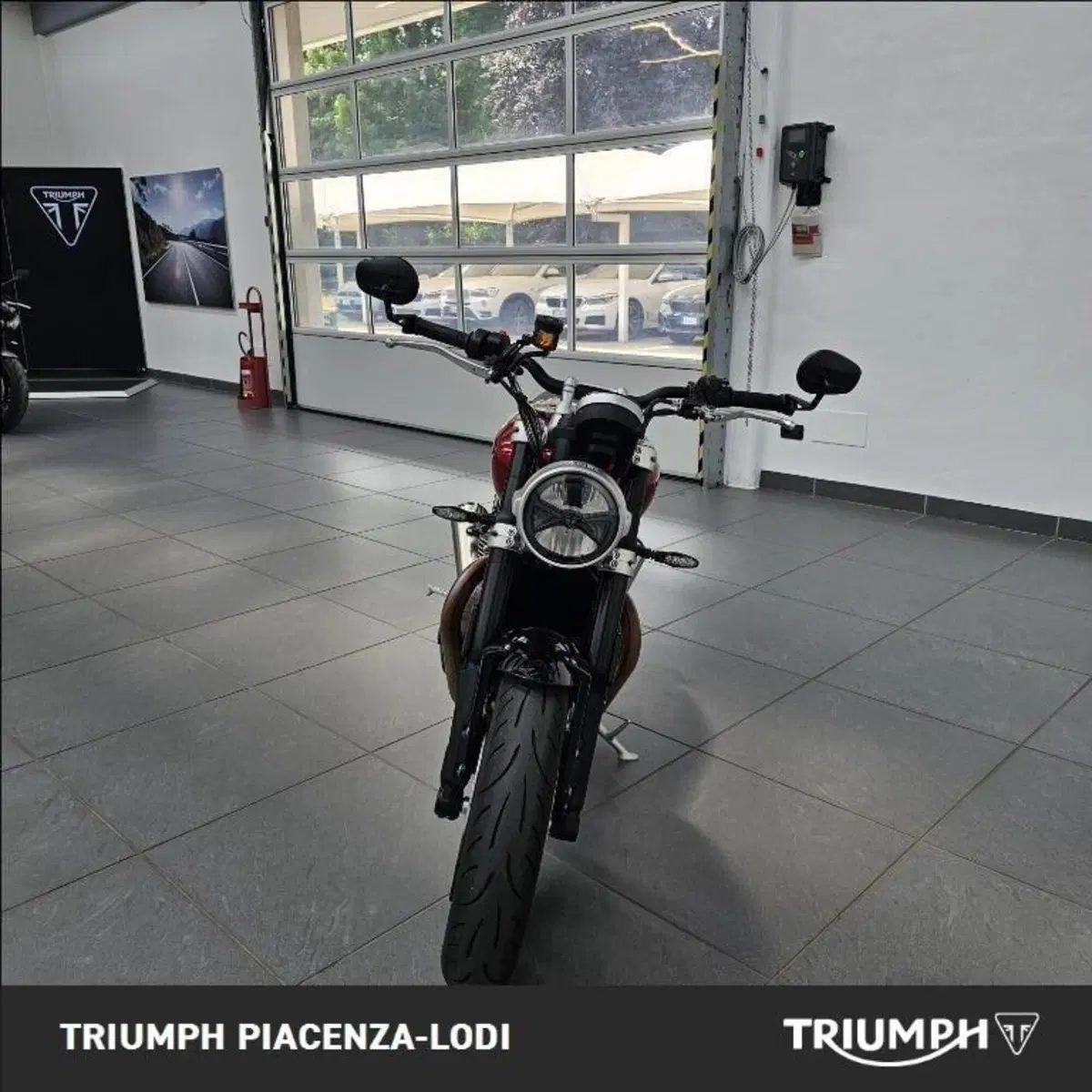 Triumph Speed Twin 1200 (2025 - 26) (6)
