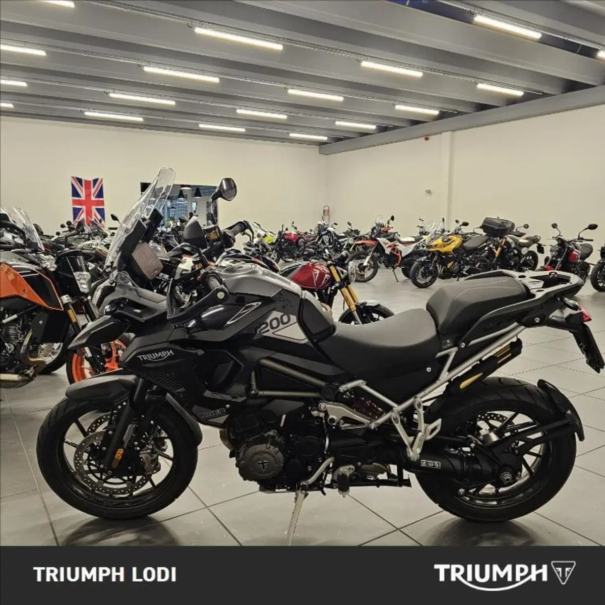 Triumph Tiger 1200 GT Pro (2024 - 26) (3)