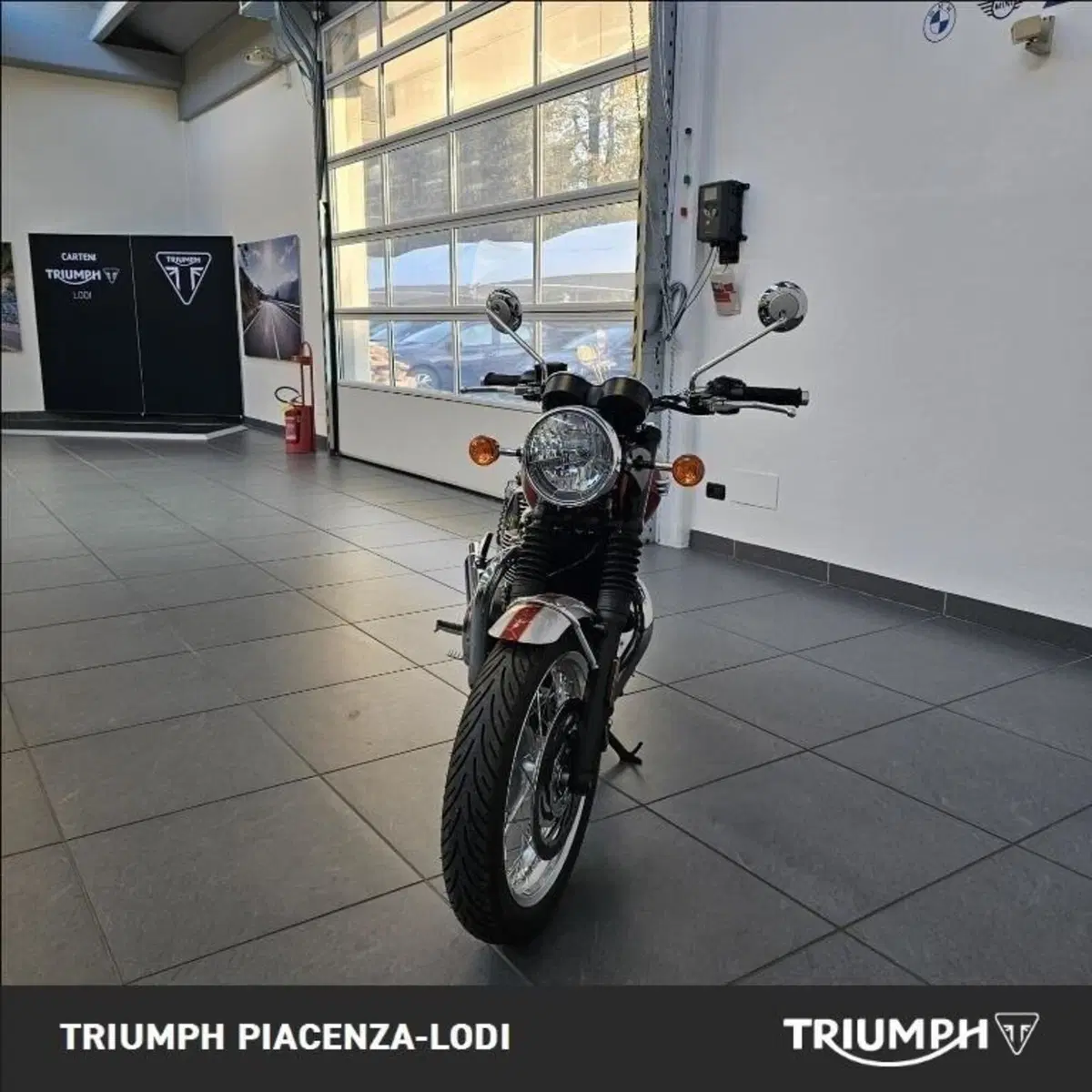Triumph Bonneville T120 Elvis (2024 - 26) (7)