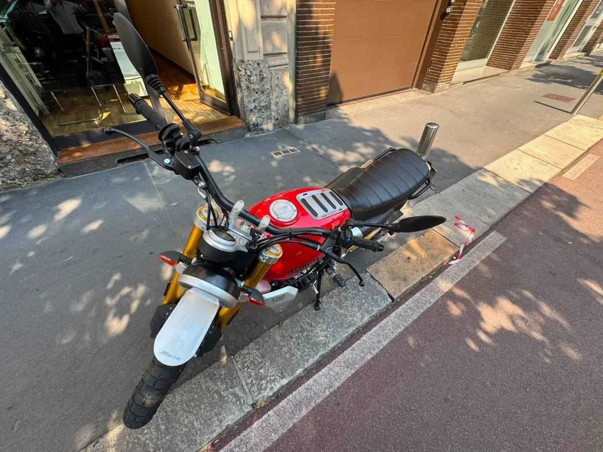 Fantic Motor Caballero 500 Scrambler (2021 - 23) (8)