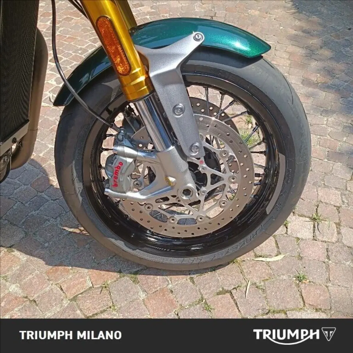 Triumph Thruxton RS (2020 - 25) (9)