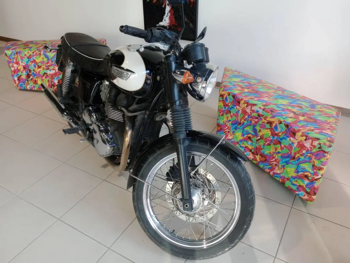 Triumph Bonneville T100 (2008 - 16) (2)
