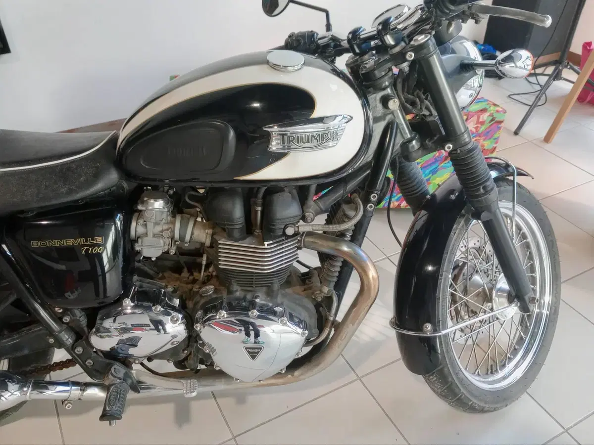 Triumph Bonneville T100 (2008 - 16) (4)
