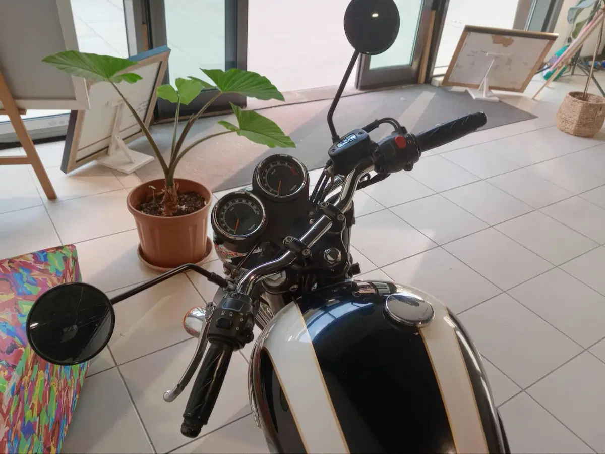 Triumph Bonneville T100 (2008 - 16) (5)