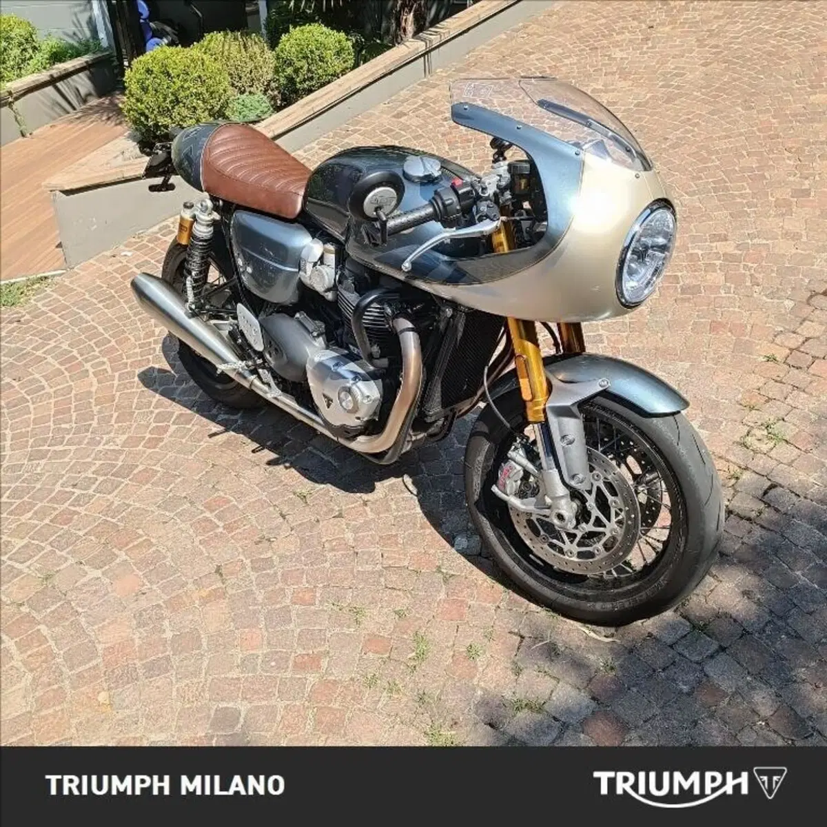 Triumph Thruxton RS (2020 - 25) (5)