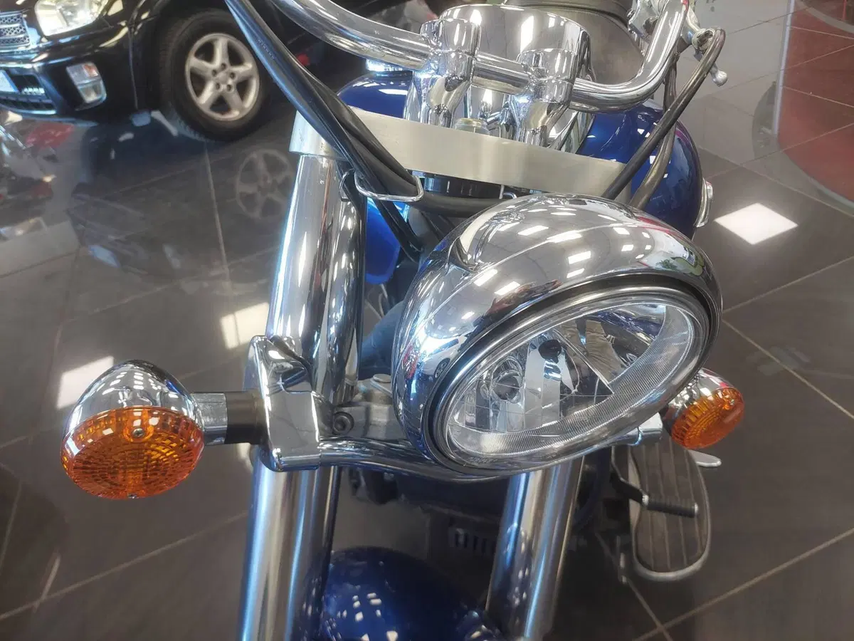 Kawasaki Vulcan VN 900 Classic (2006 - 10) (9)