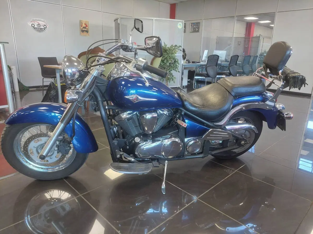 Kawasaki Vulcan VN 900 Classic (2006 - 10) (13)