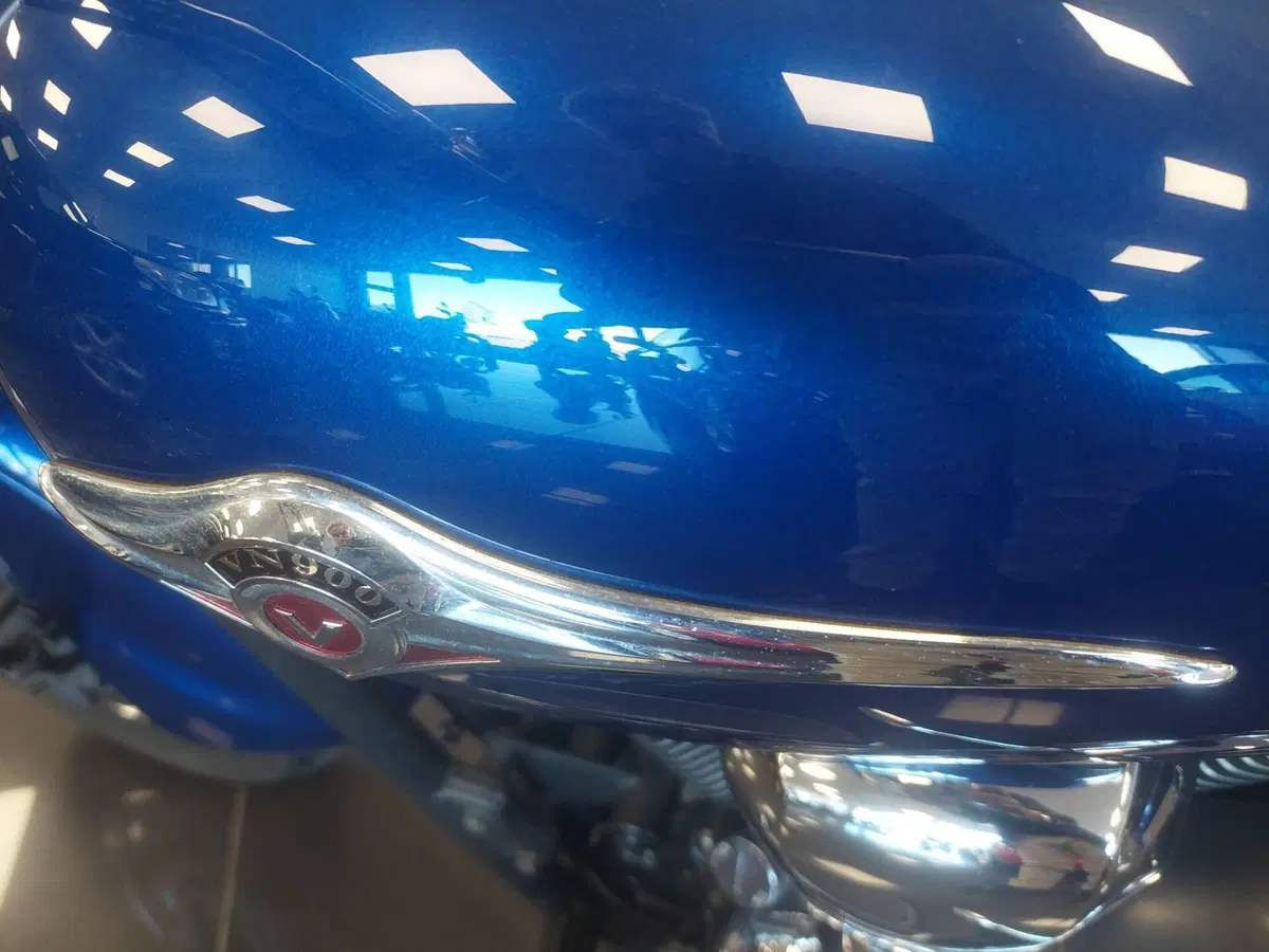 Kawasaki Vulcan VN 900 Classic (2006 - 10) (17)